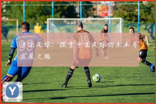 洪刚足球：探索中国足球的未来与发展之路