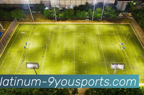 多媒体互动体验